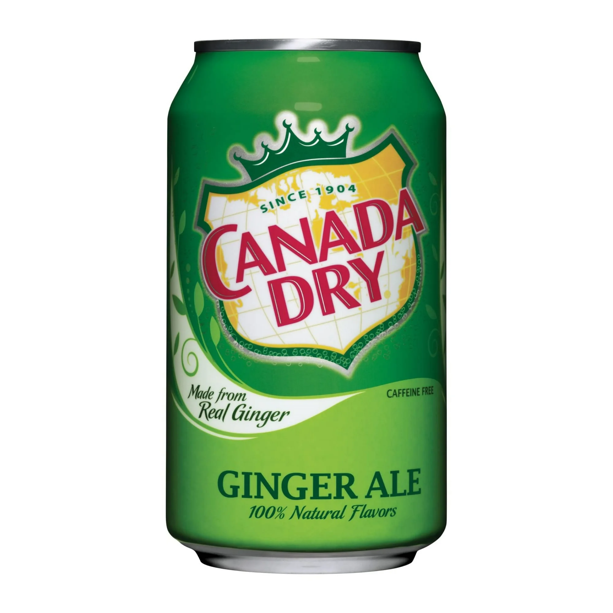 Ginger Ale Soda